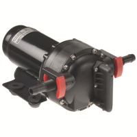 Pentrypump 20L 24V Aqua Jet